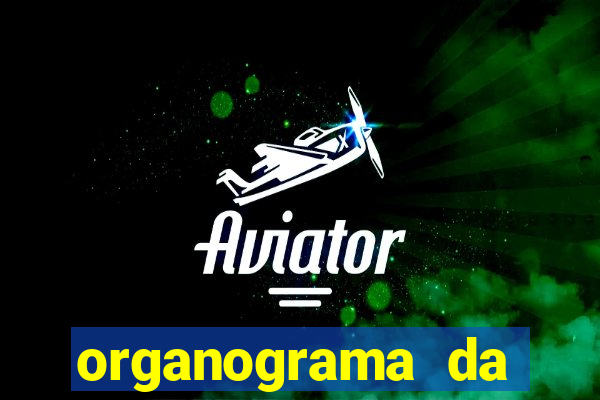 organograma da cacau show